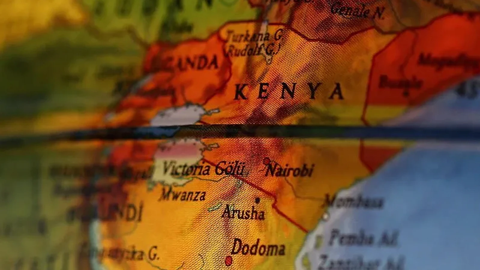 Le nombre de morts d'éléphants au Kenya est passé à 16