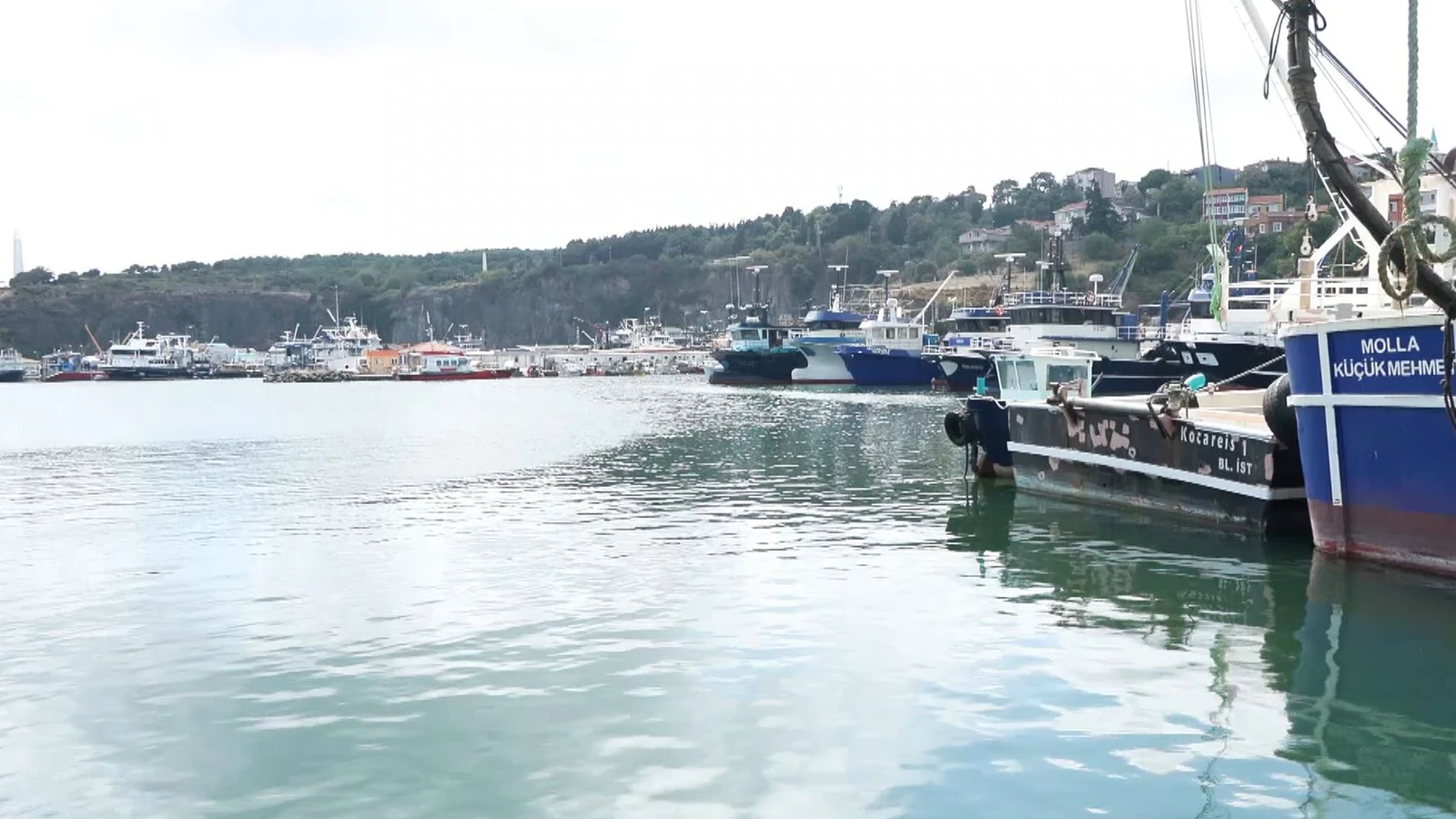 Les pêcheurs attendent le 1er septembre : Bonne nouvelle pour les amateurs de bonite