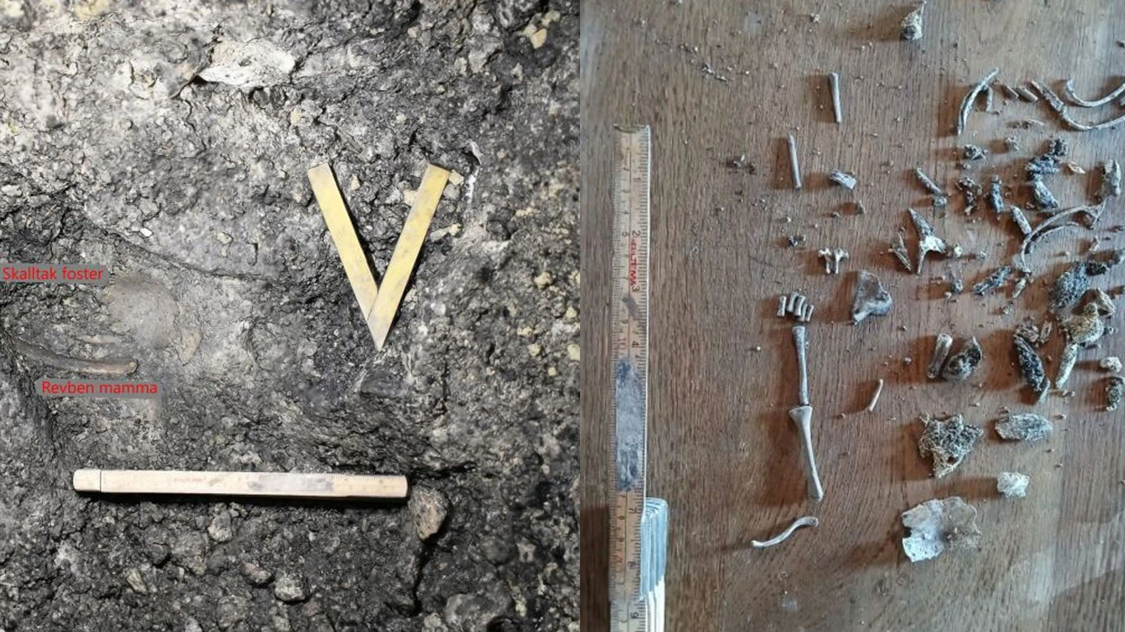 Une mère de 9 500 ans et son bébé à naître ont été retrouvés !