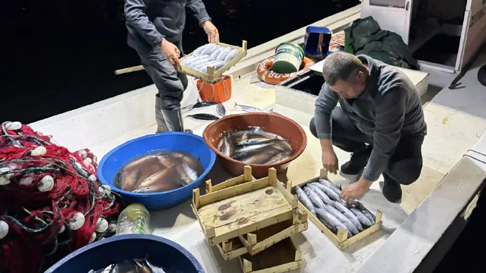 Abondance en mer jour et nuit : Une saison fertile est vécue