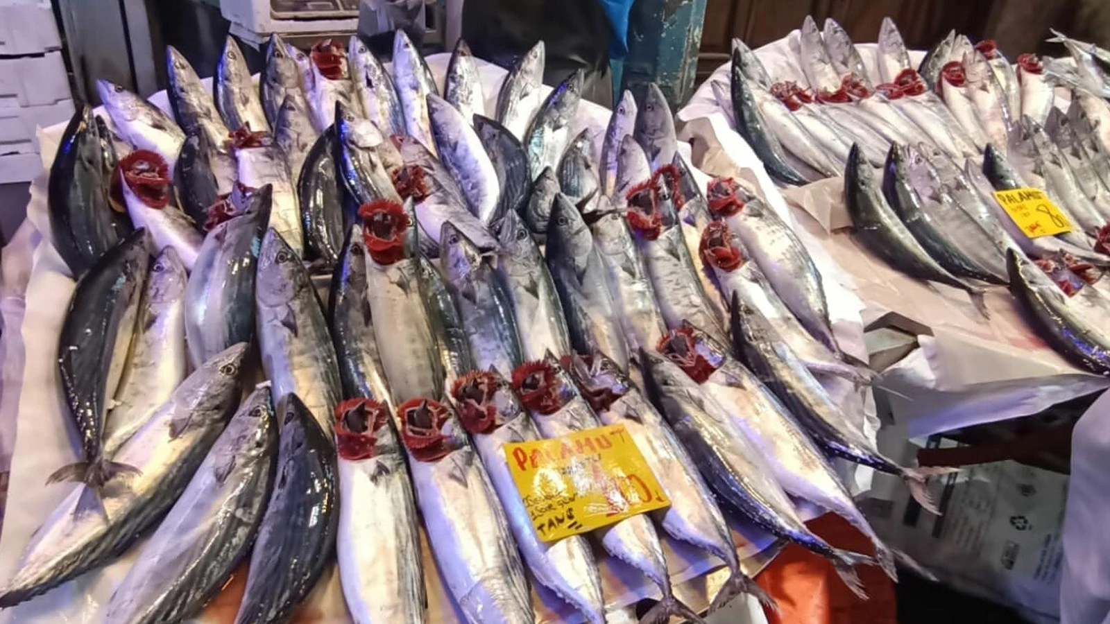 L'abondance du poisson se reflétait sur le comptoir ! Les bas prix ont profité aux citoyens