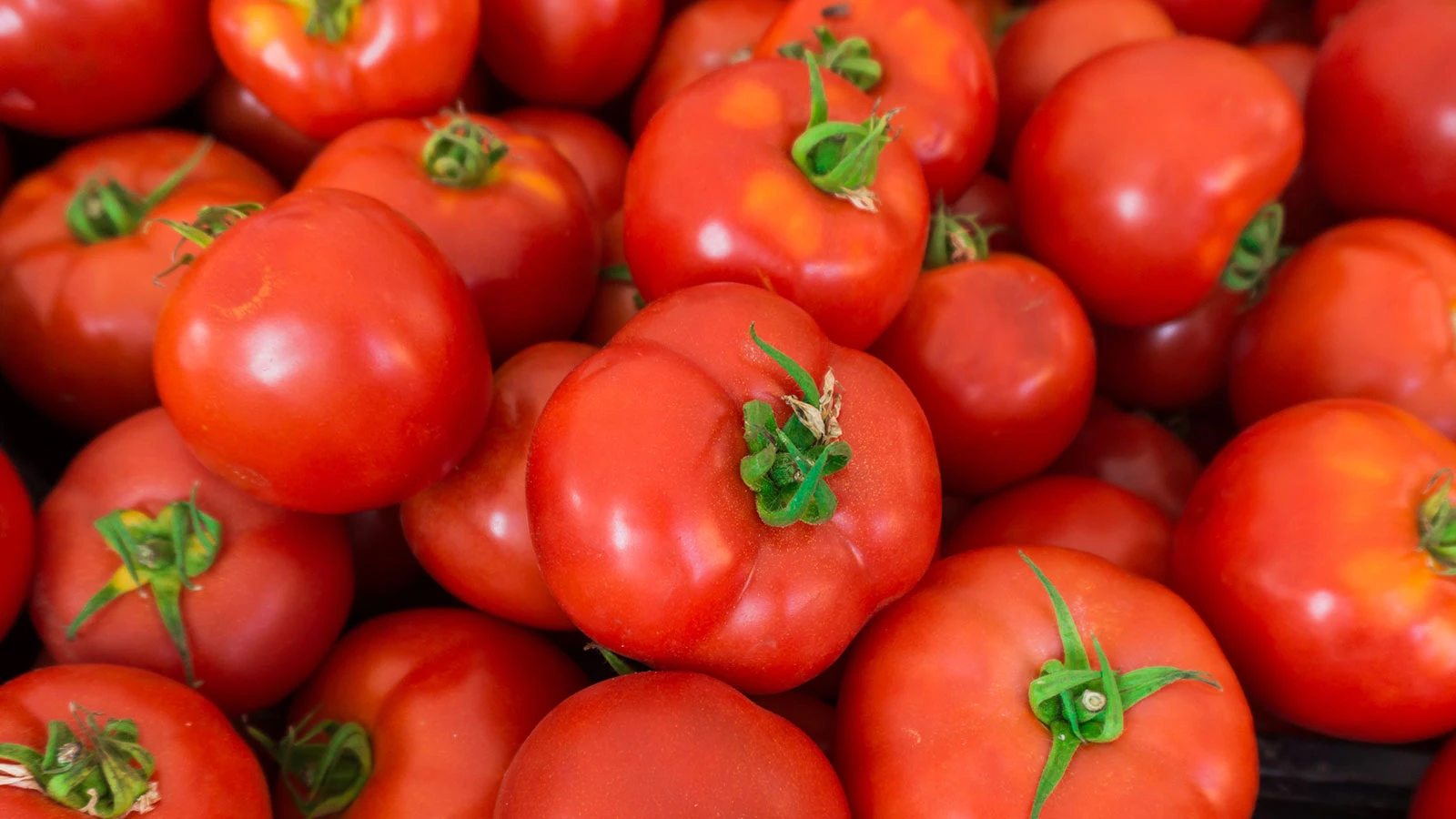 Les pesticides sont à l'ordre du jour, gros avertissement de risque pour les hommes