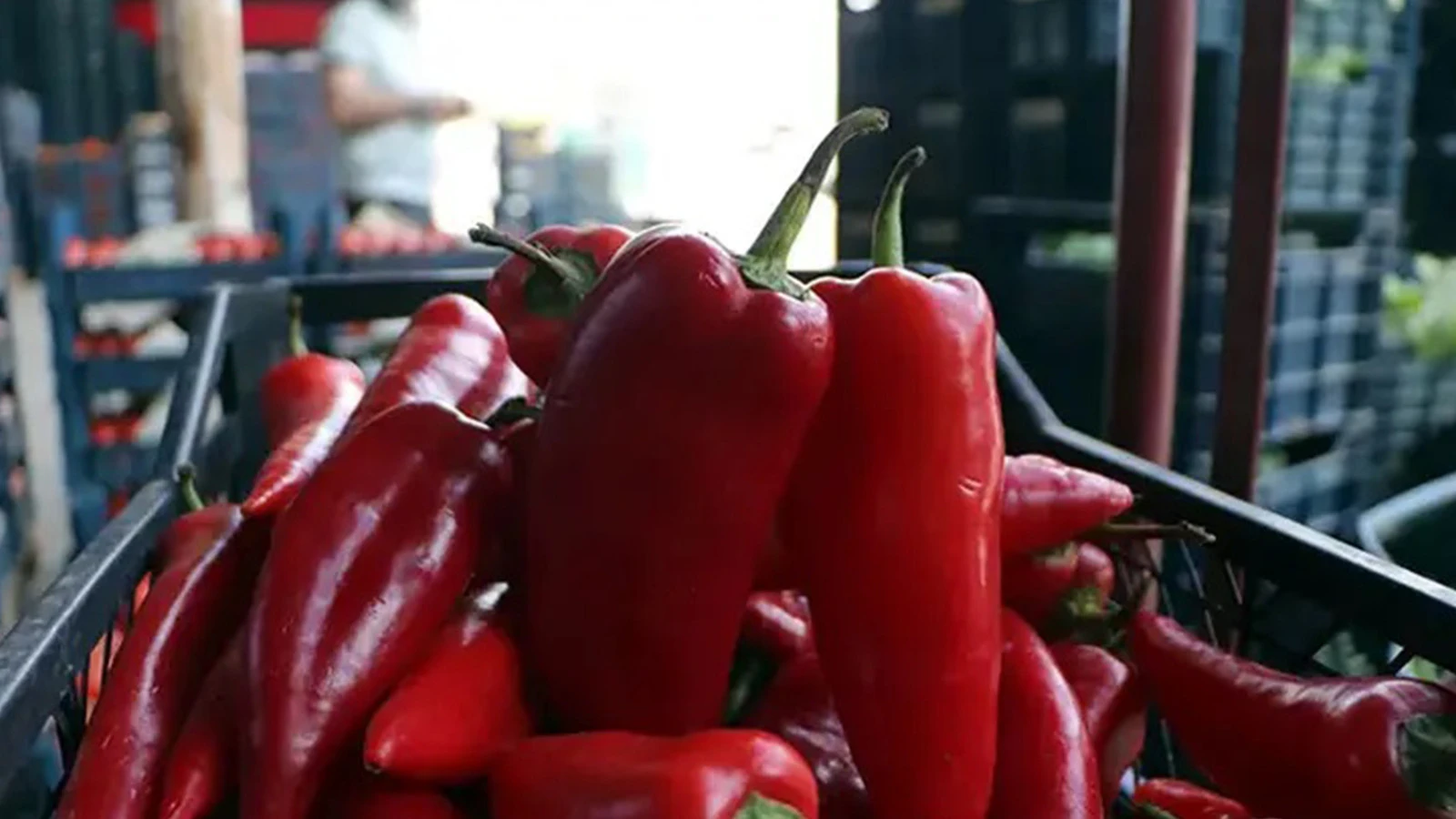 Suivez pas à pas les barons de la gastronomie ! Comment des produits de 8 lires sont-ils devenus 24 lires ?