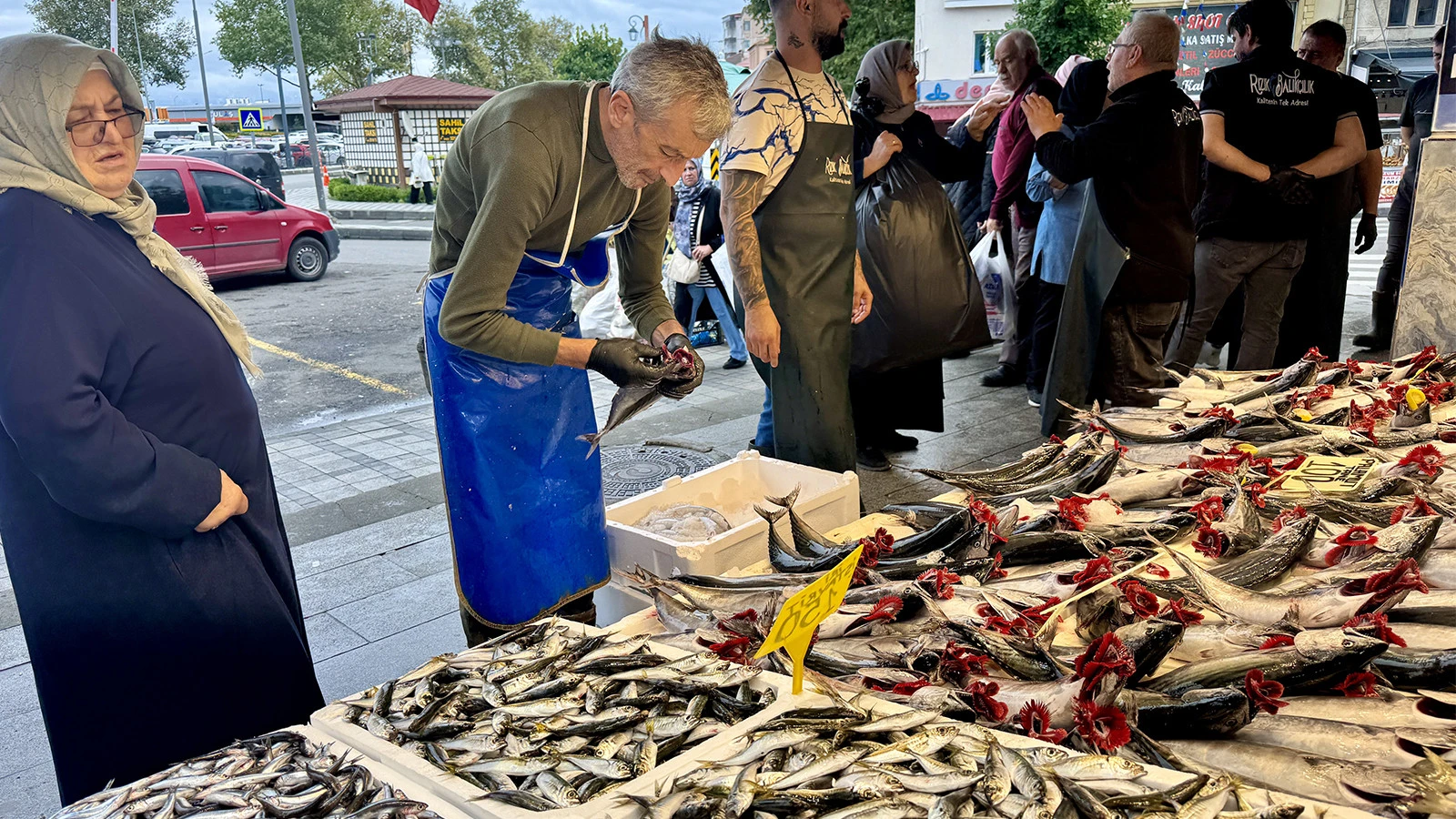 Rapport pour la pêche européenne ! Quelles espèces de poissons pourraient disparaître du tableau ?