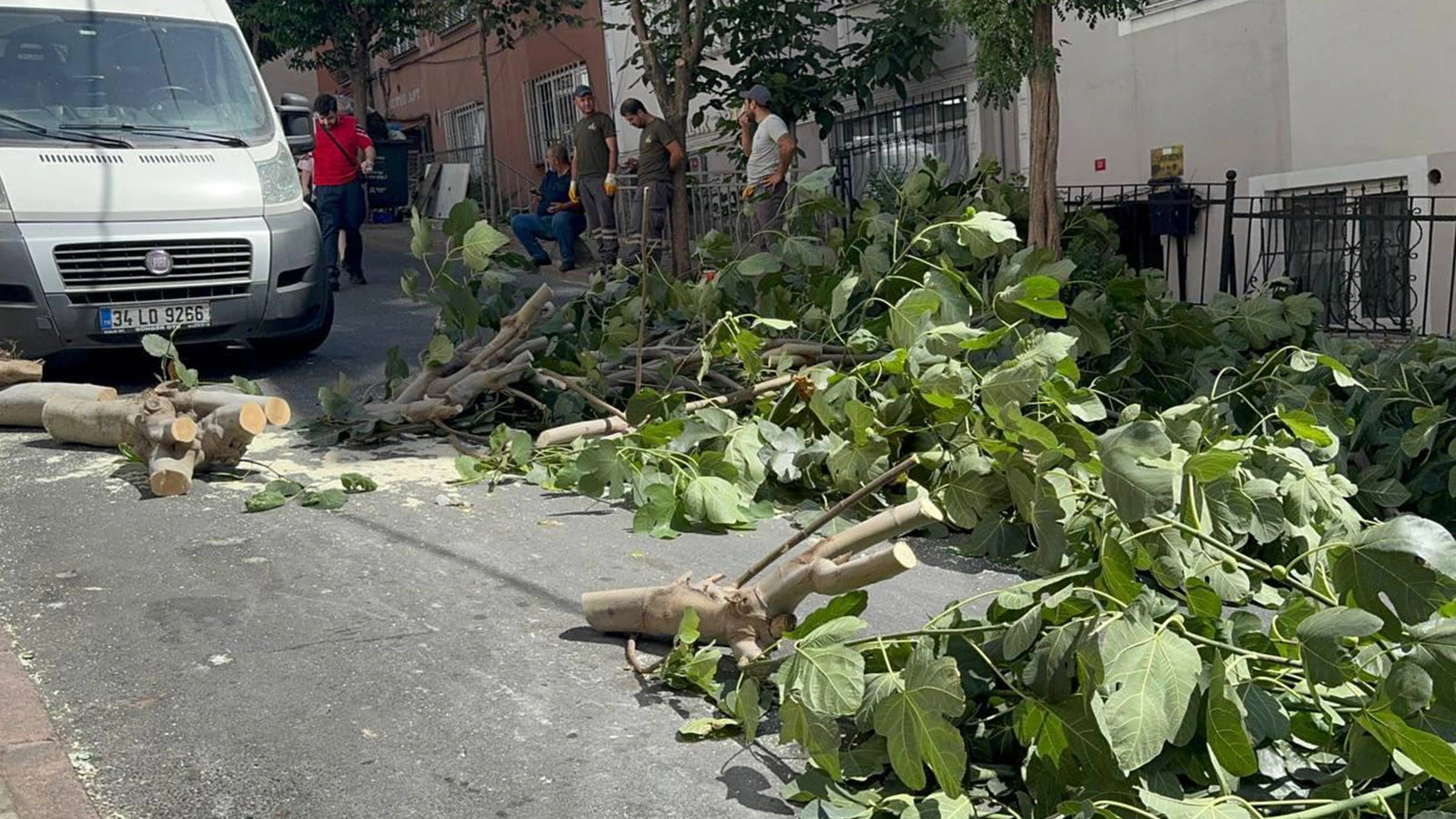 Le danger silencieux d'Istanbul, solide à l'extérieur, pourri à l'intérieur !