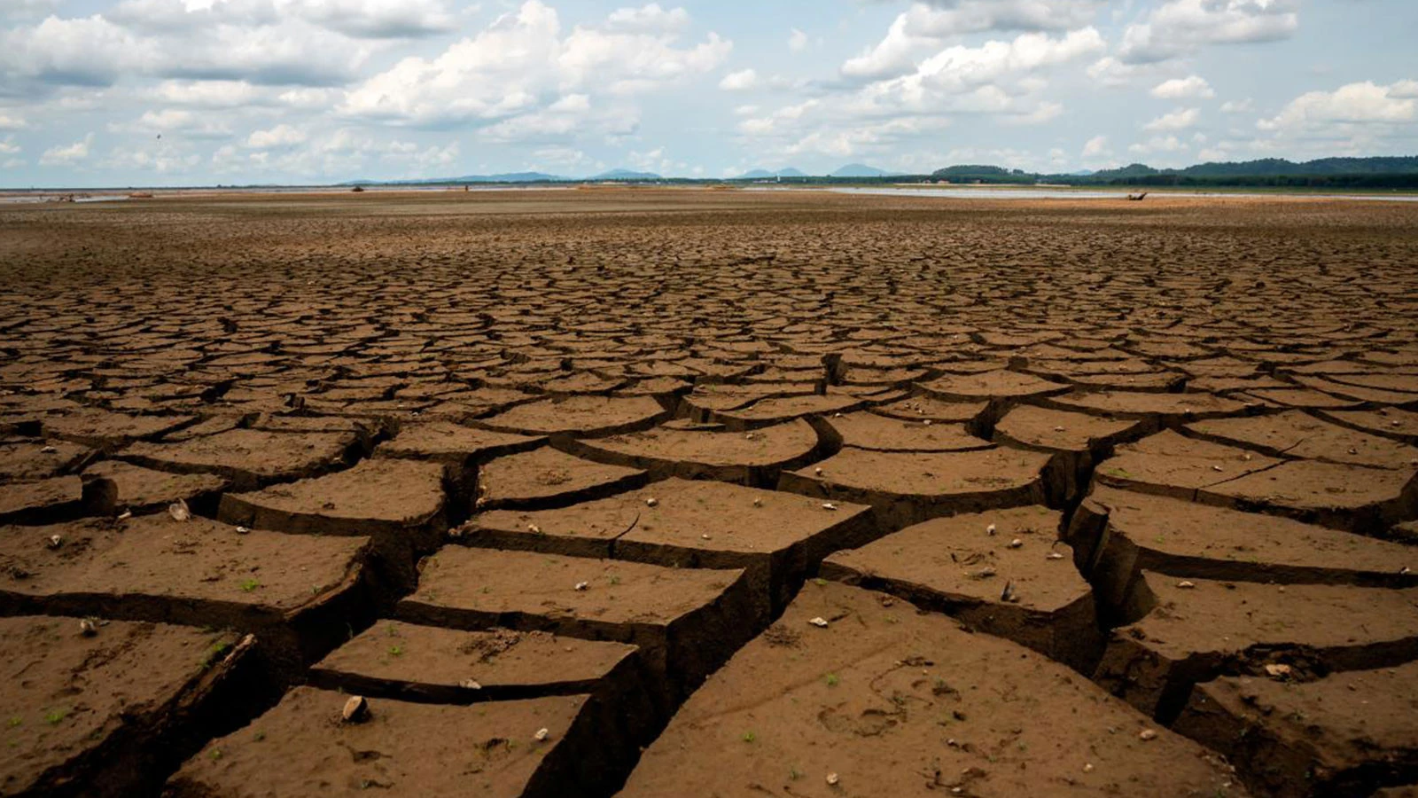 La température a augmenté, la cuisine a brûlé ! La crise climatique se déroule à la table