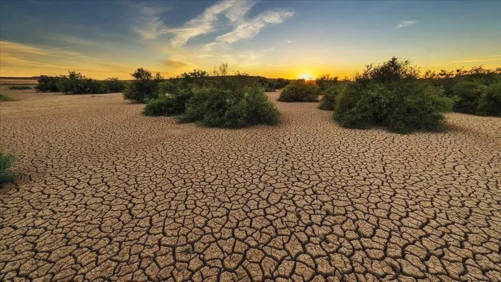 Scénario dangereux du réchauffement climatique : le monde pourrait se réchauffer de 2,6 degrés